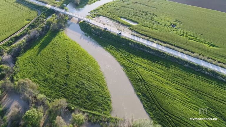 Impulso de Vías Verdes para la Movilidad Urbana