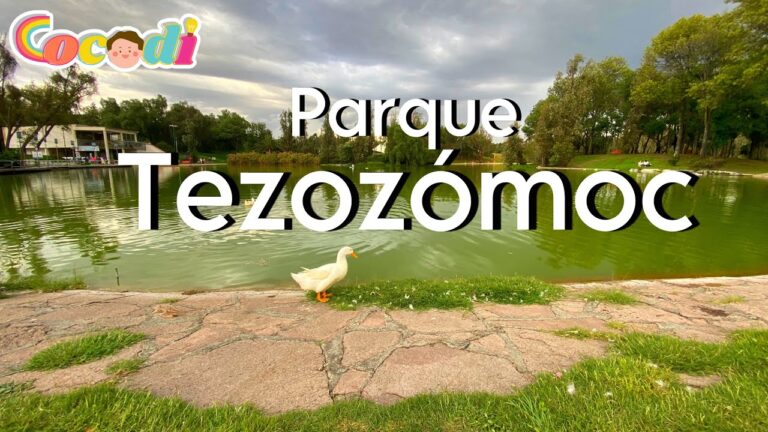 Zonas de Picnic: Disfruta de la Naturaleza en &Aacute;reas Verdes