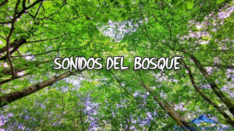 Rincones Naturales para la Relajaci&oacute;n y Meditaci&oacute;n