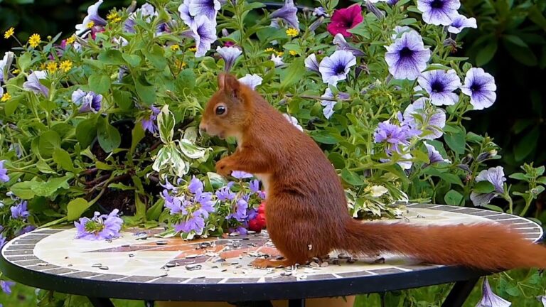 Relajaci&oacute;n en Parques y Jardines Privados