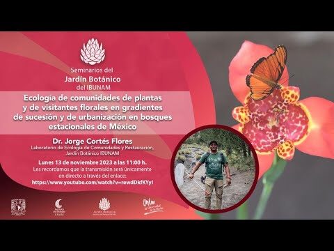 Ecosistemas Vegetales en Jardines Botánicos: Diversidad y Conservación