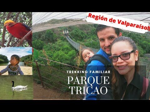 Aves y Bicicletas: Exploraci&oacute;n en Parques