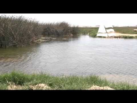 Conservaci&oacute;n Efectiva de Lagos y Lagunas en Humedales