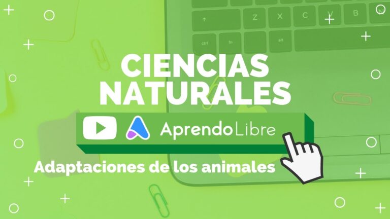 Zonas Verdes Adaptadas: Creando Espacios Sostenibles para Animales