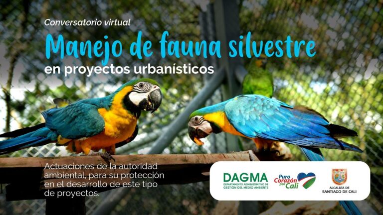 Estrategias Efectivas de Monitoreo en Conservaci&oacute;n de Fauna Silvestre
