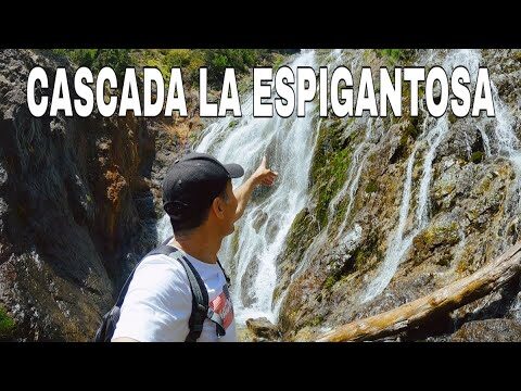 La Riqueza Natural de los Pirineos Espa&ntilde;oles