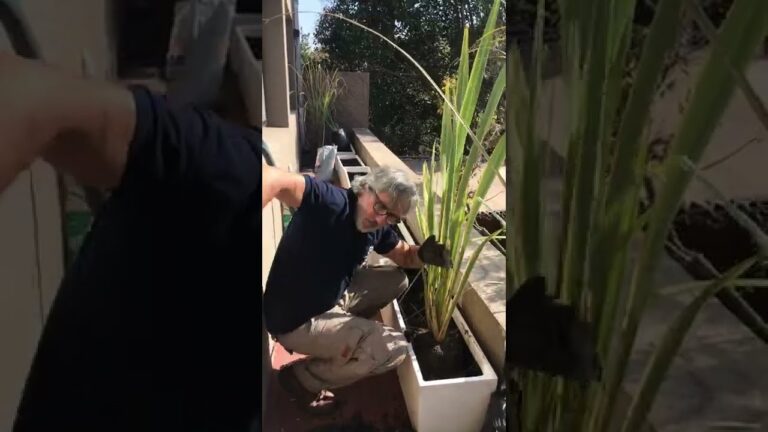 Privacidad y Encanto en Jardines Privados