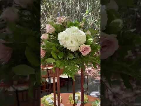 Bodas Elegantes en Jardines Bot&aacute;nicos