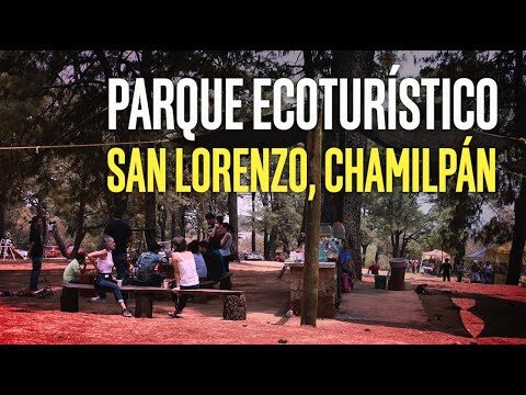 Rutas en Bicicleta en Parques Naturales: Una Aventura al Aire Libre