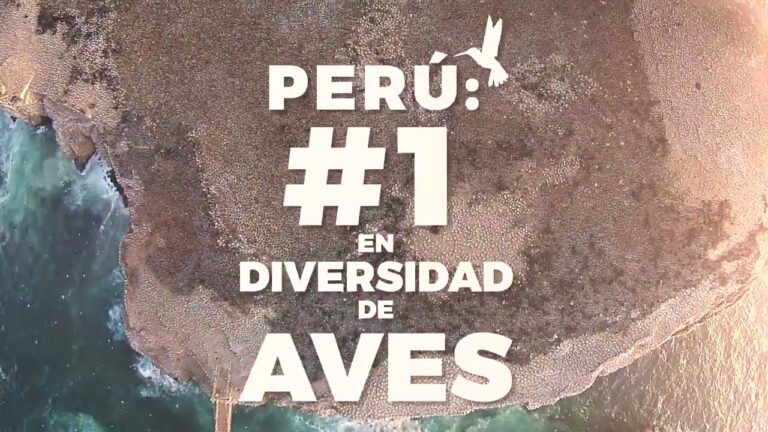 Estrategias para la Protecci&oacute;n de Avifauna en &Aacute;reas Protegidas