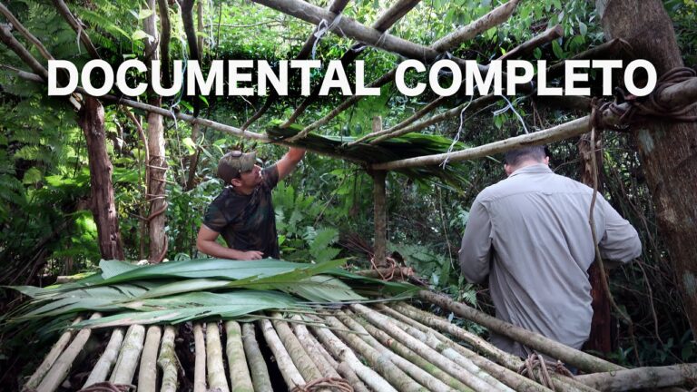 Explora la Aventura en Campings