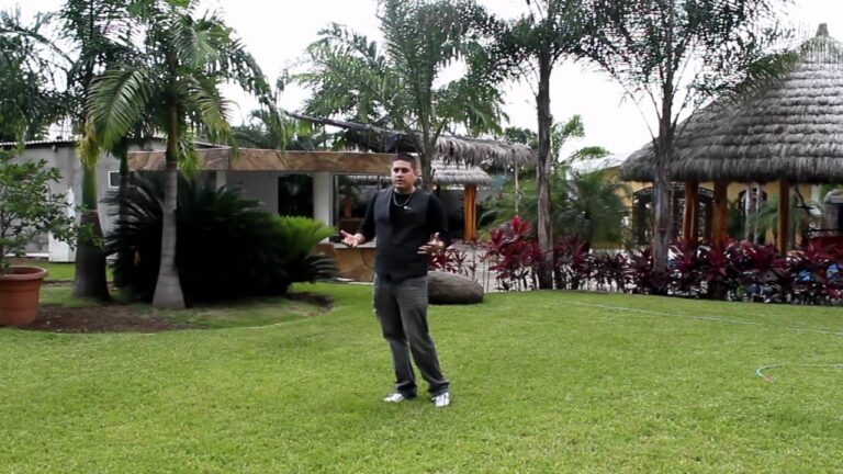 Ideas Creativas para Decoración de Eventos al Aire Libre en Zonas Verdes