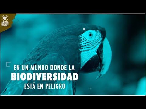 Refugios Efectivos para Especies en Peligro de Extinción