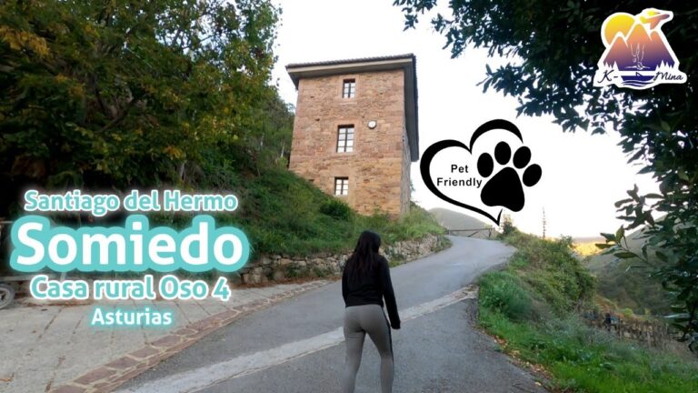 Zonas Verdes Pet-Friendly para Relajarse