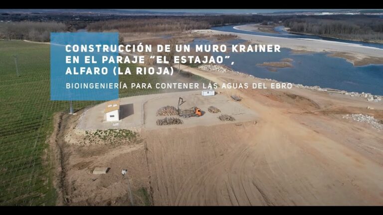 Estrategias Efectivas para la Restauraci&oacute;n Ecol&oacute;gica en Pantanos y Embalses