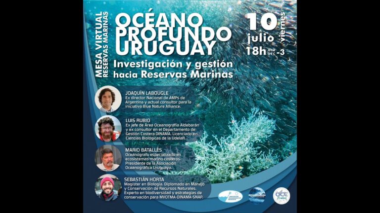 Aliados Internacionales para la Protecci&oacute;n de Reservas Marinas