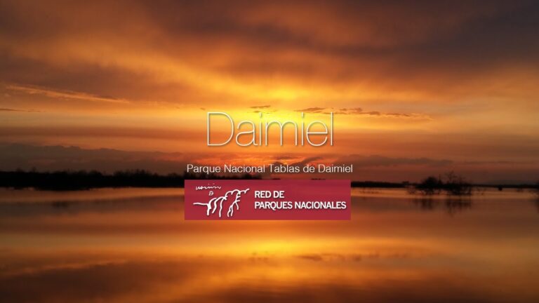 Aves Acu&aacute;ticas en Parques Fluviales: Diversidad y Conservaci&oacute;n