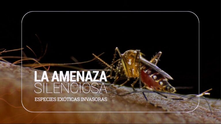 Importancia de las Especies Autóctonas en las Áreas de Conservación de Caza