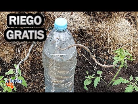 Conexi&oacute;n Natural: Invernaderos Urbanos y Sostenibilidad