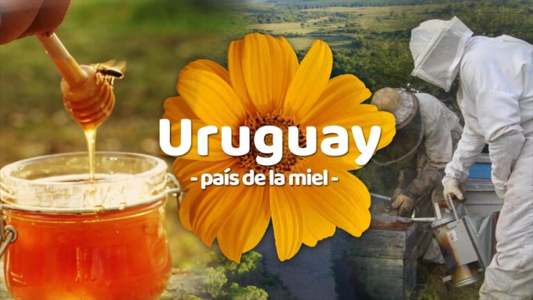Impacto de los Bosques y Montes P&uacute;blicos en la Calidad del Agua