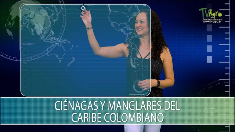 Guía para el Avistamiento de Aves en Pantanos y Ciénagas