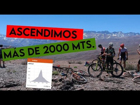 Senderos Verdes: Rutas Ideales para Bicicletas
