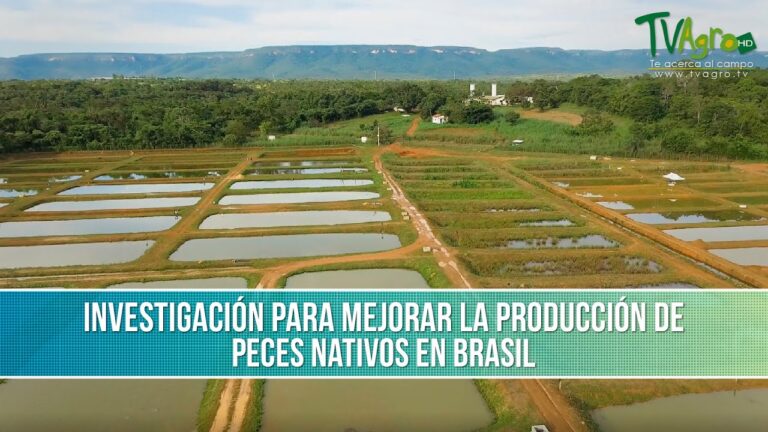 Reproducción Controlada de Especies en Cautiverio: Estrategias y Beneficios