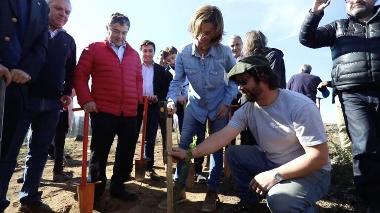 Reforestaci&oacute;n Eficiente en Jardines Bot&aacute;nicos