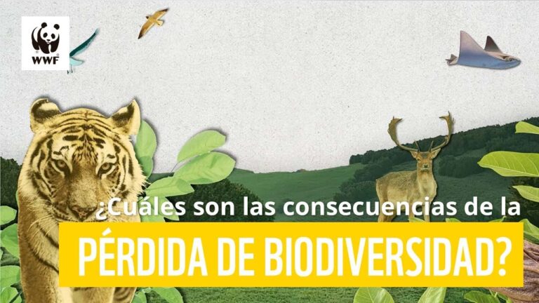 Impacto de la Degradaci&oacute;n del H&aacute;bitat en &Aacute;reas Naturales Protegidas