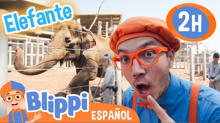 Laberintos Divertidos en Parques de Diversiones para Ni&ntilde;os