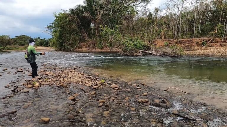 T&eacute;cnicas Efectivas de Pesca Recreativa en Arroyos