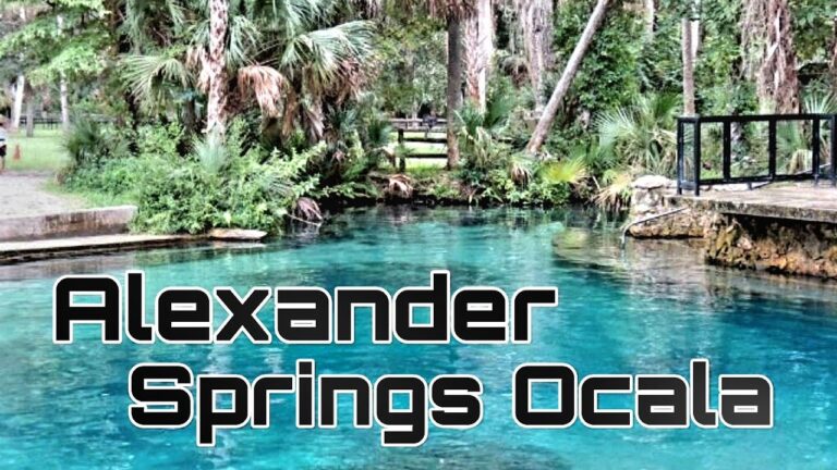 Aventura Ornitol&oacute;gica en Parques Naturales