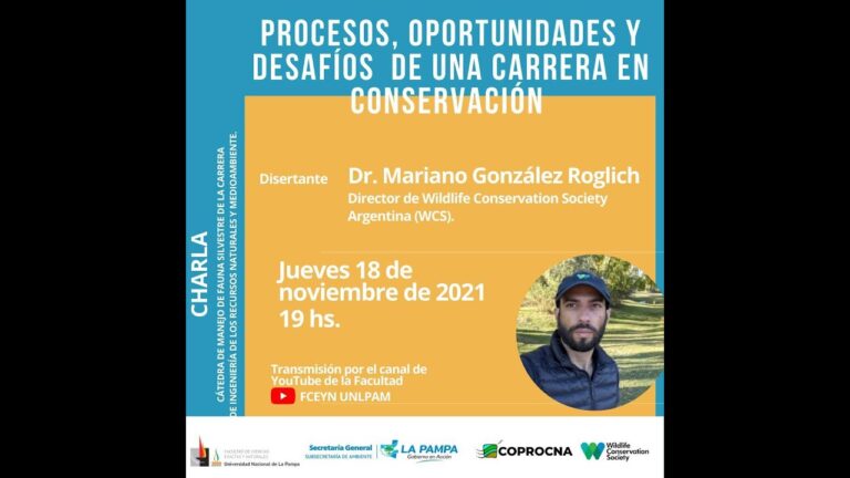 Aventura en los Manglares: Turismo Ornitológico en Ecosistemas Costeros