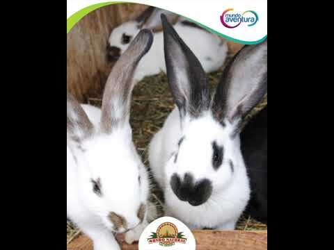 Aventuras Ecol&oacute;gicas en Parques Naturales