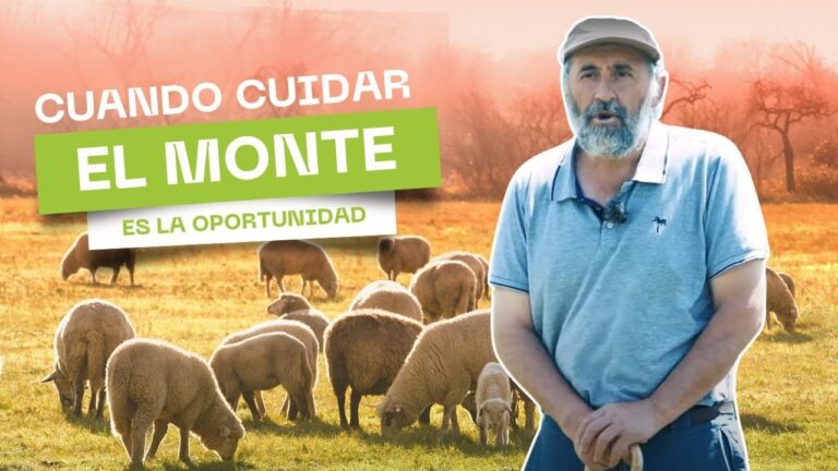 Conservaci&oacute;n de la Biodiversidad Animal en Bosques y Montes P&uacute;blicos