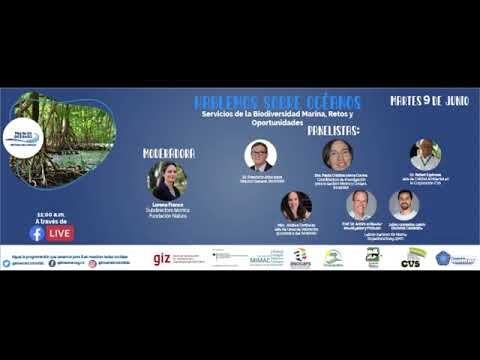 Biodiversidad Acu&aacute;tica en Zonas Verdes Costeras
