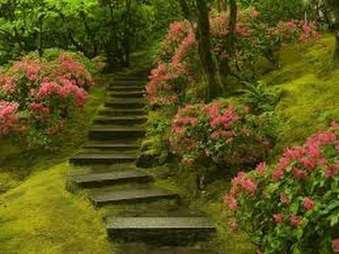 Cuidado y Restauraci&oacute;n de Jardines Antiguos