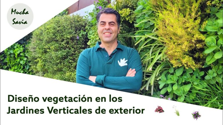 Dise&ntilde;o Eficiente de Zonas Verdes Urbanas con Jardines Verticales