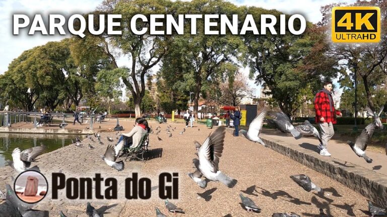 Explorando Parques Urbanos: Historia y &Aacute;rboles Centenarios