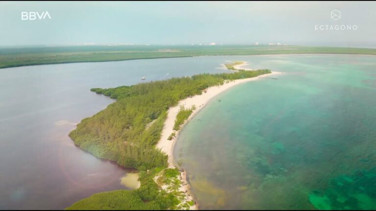 Biodiversidad de Fauna y Flora Marina en Playas y Dunas Naturales