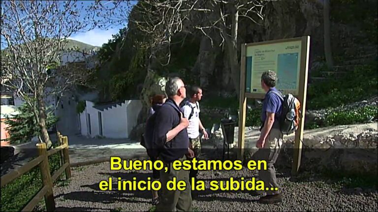 Senderismo Alpino: Explorando la Naturaleza en su M&aacute;xima Expresi&oacute;n