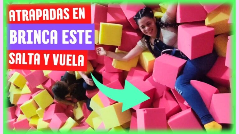 Diversión Asegurada en Parques Adaptados