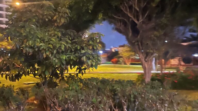 Bienestar y Serenidad en Espacios Verdes Urbanos