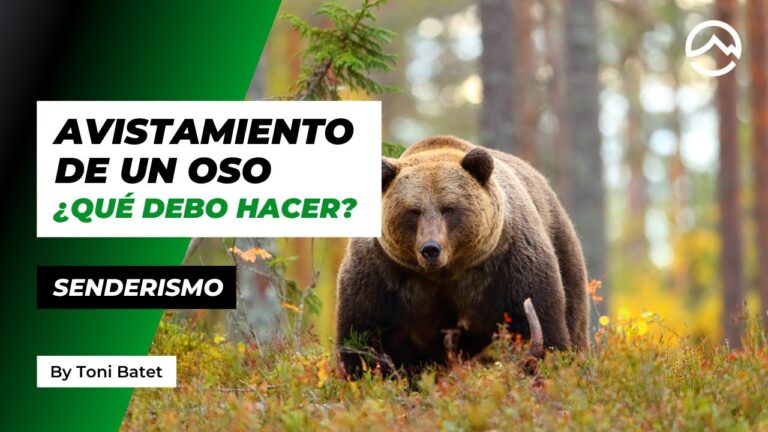 Avistamiento de Fauna en Parques de Montaña