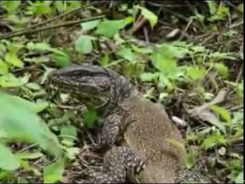 La riqueza natural en los cotos de caza