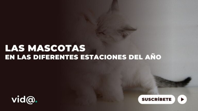 Conexi&oacute;n Natural: Disfrutando al Aire Libre con Nuestras Mascotas