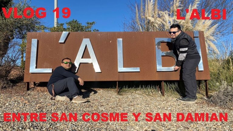 Zonas de Picnic con Barbacoa: Disfruta al Aire Libre