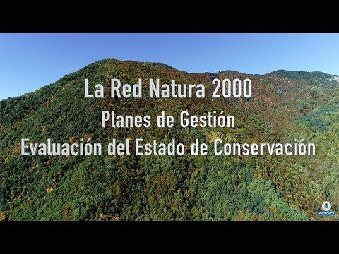Conservaci&oacute;n de Especies en H&aacute;bitats Protegidos: Estrategias y Retos