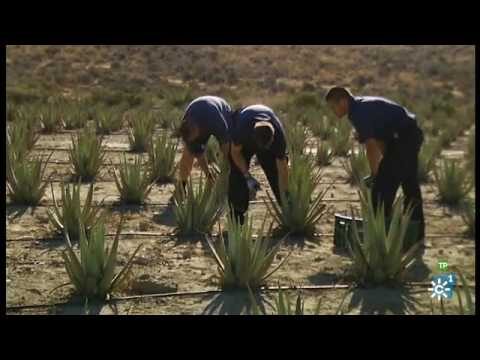 Ventajas de los Parques Científicos para la Investigación en Laboratorios