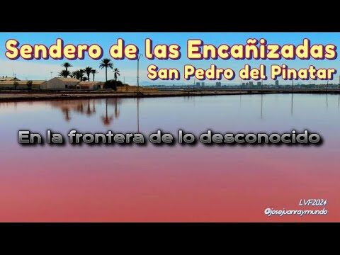 Senderismo Costero: Explorando Playas de Arena y Dunas Doradas